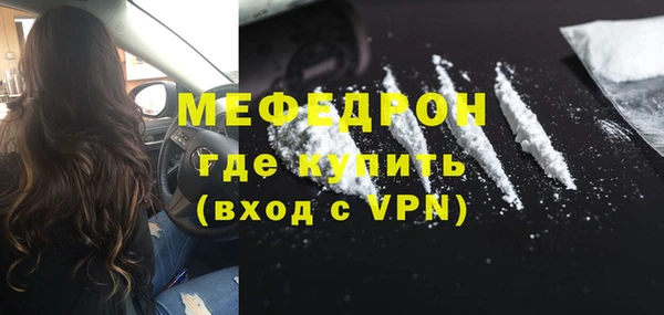 индика Инта