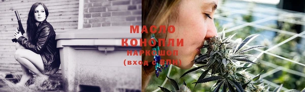 индика Инта