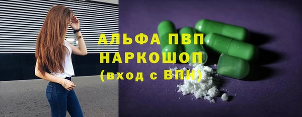 индика Инта