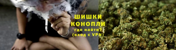 ECSTASY Инсар