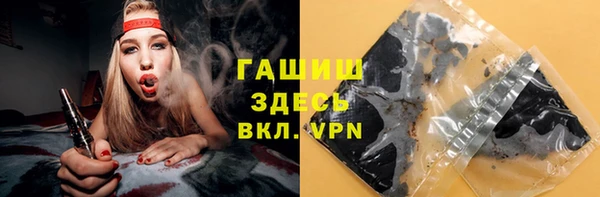 индика Инта