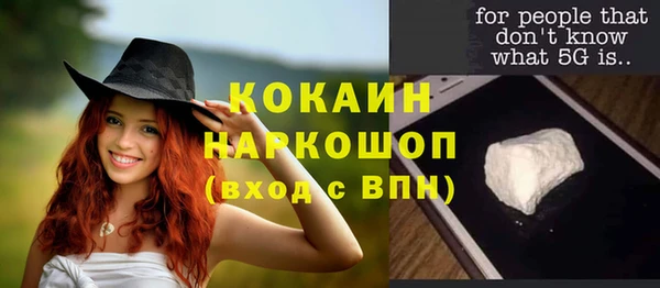 индика Инта