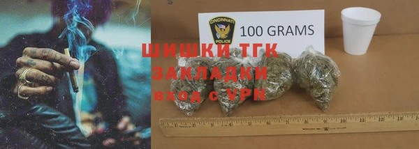 ECSTASY Инсар