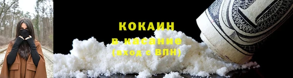 ECSTASY Инсар