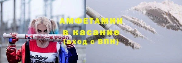 индика Инта