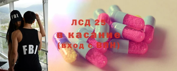 индика Инта