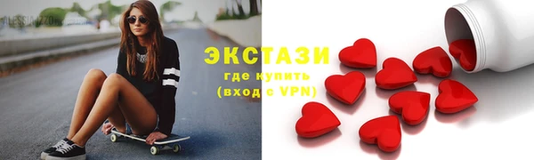индика Инта