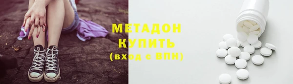 индика Инта