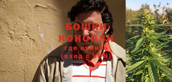 индика Инта