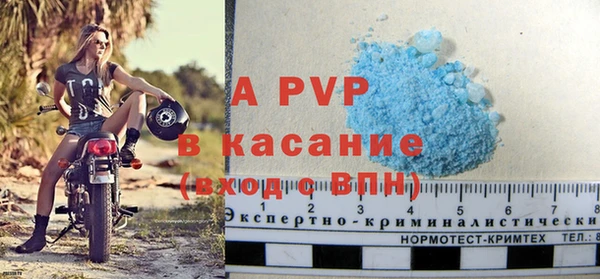 индика Инта