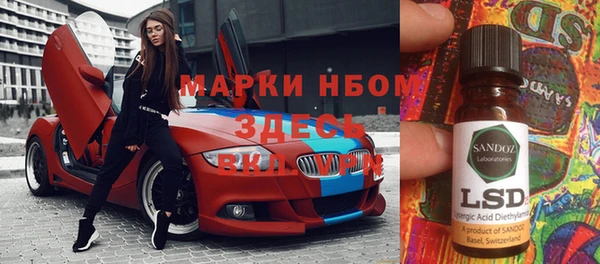 индика Инта
