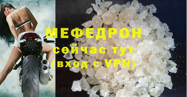 индика Инта