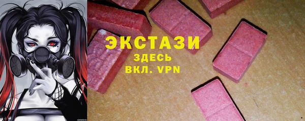 индика Инта