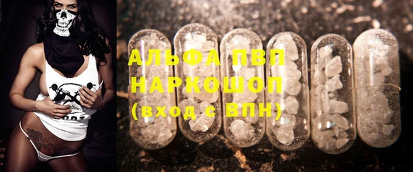 ECSTASY Инсар