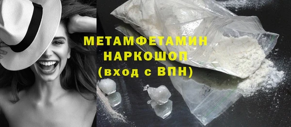 индика Инта