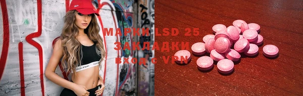 индика Инта