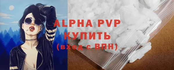 индика Инта