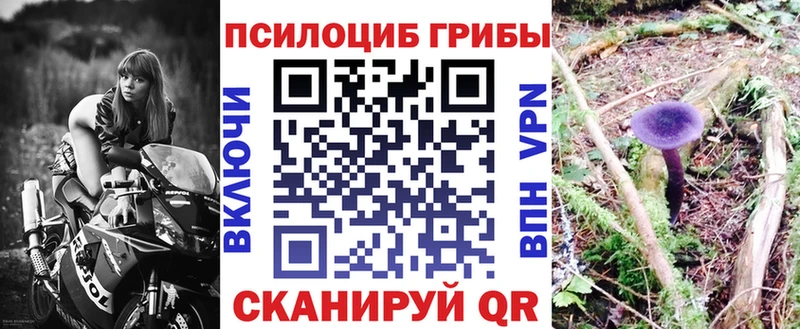 Купить  Вяземский  Галлюциногенные грибы мухоморы 